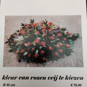 NR43