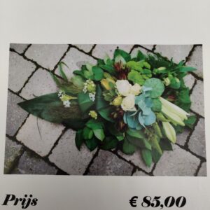 Nr44